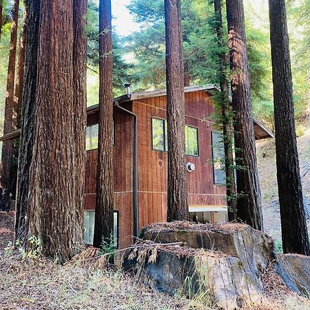 Little House In The Redwoods With A Hot Tub! Daire Garberville Dış mekan fotoğraf