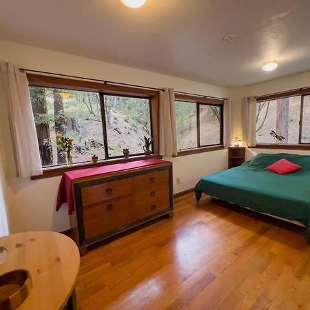 Little House In The Redwoods With A Hot Tub! Daire Garberville Dış mekan fotoğraf
