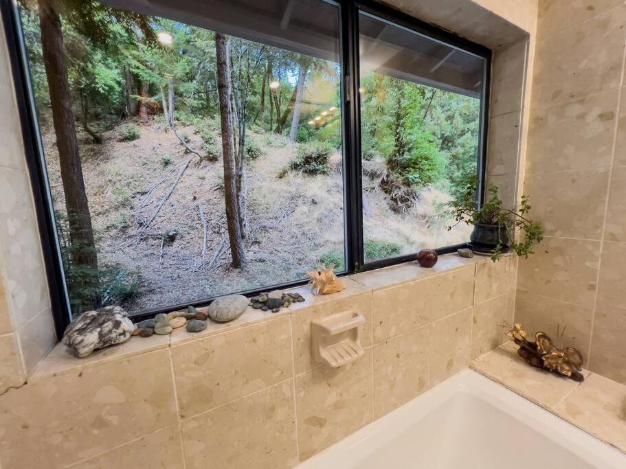 Little House In The Redwoods With A Hot Tub! Daire Garberville Dış mekan fotoğraf