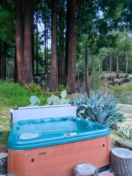 Little House In The Redwoods With A Hot Tub! Daire Garberville Dış mekan fotoğraf