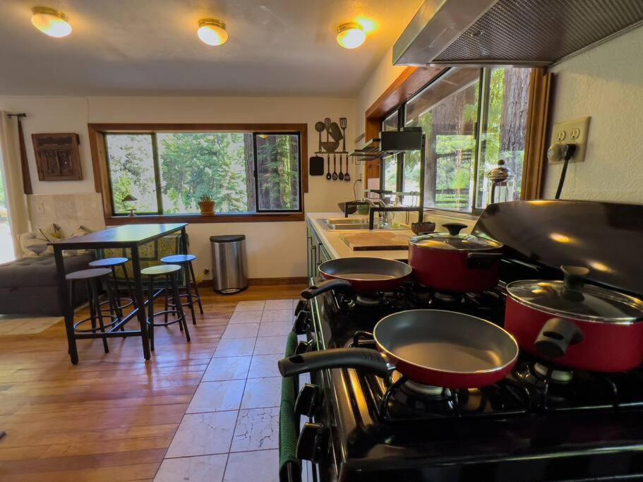 Little House In The Redwoods With A Hot Tub! Daire Garberville Dış mekan fotoğraf