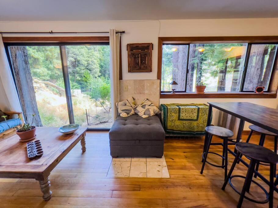 Little House In The Redwoods With A Hot Tub! Daire Garberville Dış mekan fotoğraf